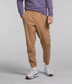 îmbrăcăminte The North Face bărbați pantaloni lightstride unt de migdale 4N84R1161