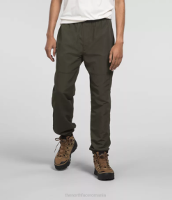 îmbrăcăminte The North Face bărbați tnf nylon easy pantaloni verde taupe nou 4N84R490