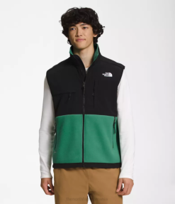 îmbrăcăminte The North Face bărbați vesta denali verde profund iarba 4N84R601